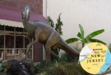 Photo of El pueblo, a dos horas de Nueva York, que permite explorar el lugar donde se encontraron los restos del primer dinosaurio de EE.UU.