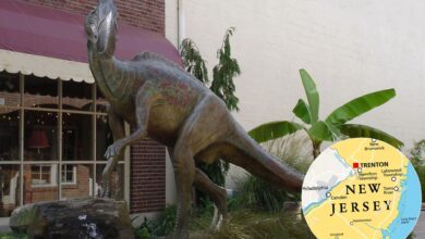 Photo of El pueblo, a dos horas de Nueva York, que permite explorar el lugar donde se encontraron los restos del primer dinosaurio de EE.UU.