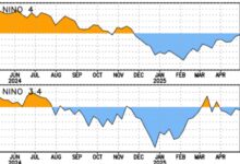 Photo of Pronóstico: el regreso del fenómeno La Niña ya tiene fecha, según un informe