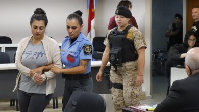 Photo of Muerte de bebés: “La hipótesis de una asesina serial era la única que le servía al gobierno”, dijo el defensor de la enfermera