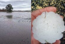 Photo of Superó todo: el pueblo bonaerense que tuvo la lluvia más importante en 103 años y el lugar donde la piedra generó pánico