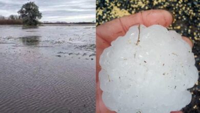 Photo of Superó todo: el pueblo bonaerense que tuvo la lluvia más importante en 103 años y el lugar donde la piedra generó pánico