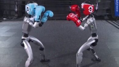 Photo of Robots humanoides protagonizaron un nuevo espectáculo de boxeo