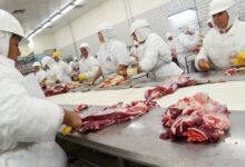 Photo of “Cae China”: se perdieron US$140,2 millones por un desplome de las exportaciones de carne al principal comprador de la Argentina