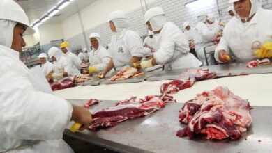Photo of “Cae China”: se perdieron US$140,2 millones por un desplome de las exportaciones de carne al principal comprador de la Argentina