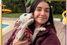 Photo of El gesto de María Becerra con cinco perros que casi pierden la vida en las inundaciones en Campana