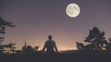 Photo of “Luna llena de flores” en mayo: cuando se verá en Estados Unidos y por qué se llama así