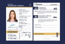 Photo of Desde hoy rige la nueva Licencia de Conducir Digital: qué jurisdicciones adhirieron
