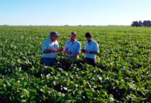 Photo of Según un experto: las ocho habilidades blandas que debe tener el gerente de producción de una empresa líder