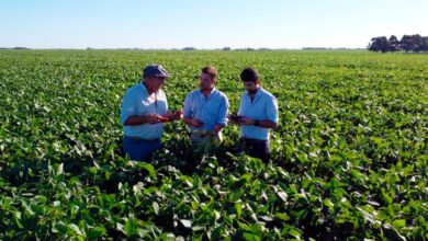 Photo of Según un experto: las ocho habilidades blandas que debe tener el gerente de producción de una empresa líder