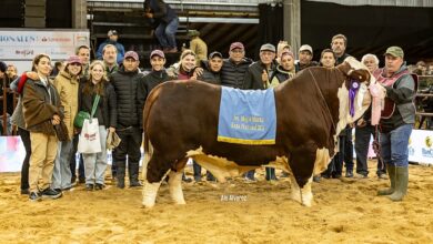 Photo of Emprendedores: irrumpieron por primera vez en una competencia de alto nivel y dieron el golpe con un toro