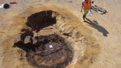 Photo of Excavaban en un futuro campo de golf y de casualidad hallaron un tesoro arqueológico