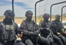 Photo of ICE se adentra en territorio mexicano: así desmanteló tres narcolaboratorios en Sinaloa