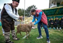 Photo of Video: ascendieron a Primera y le regalaron ¡una oveja! a su entrenador