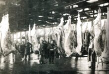 Photo of De los antiguos mataderos a los modernos frigoríficos: una radiografía de la Argentina