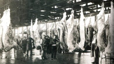 Photo of De los antiguos mataderos a los modernos frigoríficos: una radiografía de la Argentina