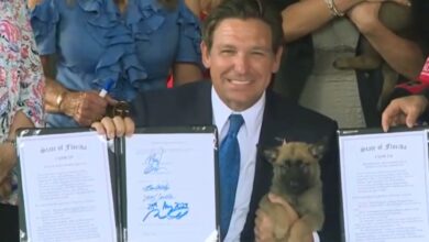 Photo of Las leyes firmadas por DeSantis que se inspiraron en dos perritos de Florida