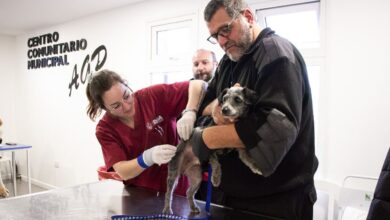Photo of Exitosa jornada de adopción, vacunación y chipeo en el barrio AGP