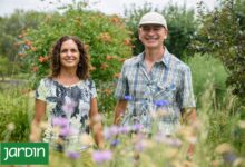 Photo of Una original huerta-jardín que incluye gran variedad de plantas, frutales y hasta flores comestibles