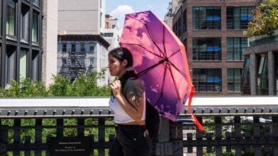 Photo of Adiós ola de calor en Nueva York, hola tormentas eléctricas: qué se espera para las próximas horas