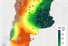 Photo of Fuerte impacto: se achicó en 100.000 hectáreas la siembra de un cultivo que aporta más de US$3000 millones