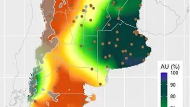 Photo of Fuerte impacto: se achicó en 100.000 hectáreas la siembra de un cultivo que aporta más de US$3000 millones