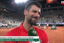Photo of Cómo reaccionó Novak Djokovic al enterarse quién salió campeón de la Champions League