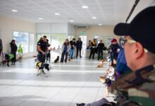 Photo of Exitoso taller de adiestramiento canino en el CCM del barrio Perón
