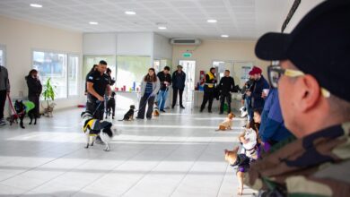 Photo of Exitoso taller de adiestramiento canino en el CCM del barrio Perón