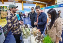 Photo of “Desde Río Grande trabajamos para fortalecer a las pymes y a nuestros productores locales”