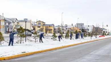 Photo of Continúan las labores de limpieza en distintos puntos de la ciudad