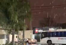 Photo of Nieve en Buenos Aires: así se vive la ola polar en varias localidades bonaerenses