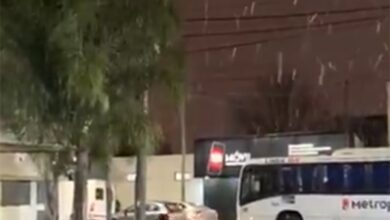 Photo of Nieve en Buenos Aires: así se vive la ola polar en varias localidades bonaerenses