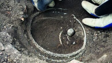 Photo of Descubren un tesoro vikingo que estuvo oculto por más de 1000 años en una granja
