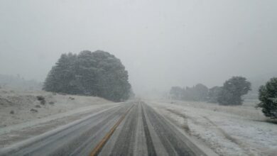 Photo of Ola polar en la Argentina: ¿puede nevar en Buenos Aires?