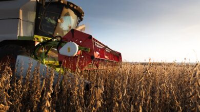 Photo of Horas decisivas: el Gobierno está más cerca de volver a aumentar las retenciones y hay fuerte malestar en el agro