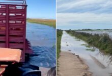 Photo of “Desidia política”: un productor mostró el lamentable estado de los caminos en un municipio bonaerense y reclamó por obras postergadas
