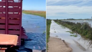 Photo of “Desidia política”: un productor mostró el lamentable estado de los caminos en un municipio bonaerense y reclamó por obras postergadas