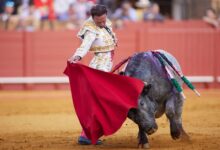 Photo of Periodistas puestos a toreros