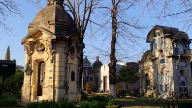 Photo of En el cementerio de La Plata los muertos no descansan en paz