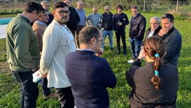 Photo of Sergio Massa se lanzará a la campaña con la mira en una candidatura