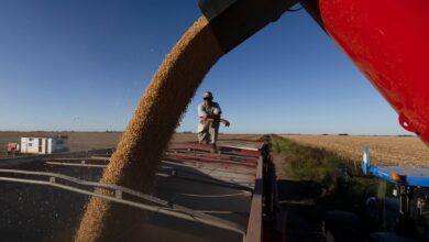 Photo of Decreto. El Gobierno oficializó la continuidad de las retenciones reducidas en trigo y en cebada mientras la soja y el maíz volverán a pagar más