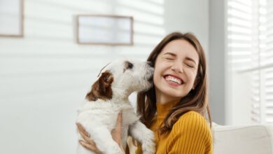 Photo of ¿Qué dice la psicología de las personas que aman a los perros?