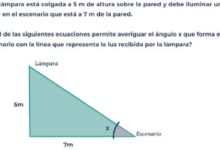 Photo of Pruebas Aprender: estos son algunos de los ejercicios de matemática que no pudo resolver la mayoría de los alumnos