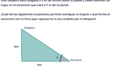Photo of Pruebas Aprender: estos son algunos de los ejercicios de matemática que no pudo resolver la mayoría de los alumnos