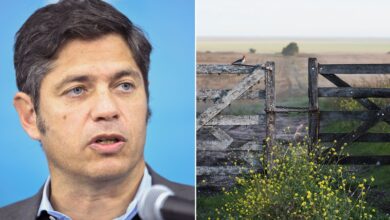 Photo of “Cosa extraña y realmente ilegal”: Kicillof subió, con facultades delegadas, un impuesto y estallaron las críticas del campo