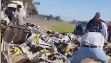Photo of Video: el momento en que vuelca un camión con limones y los vecinos lo saquean