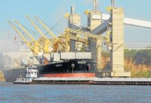 Photo of Nace un gigante: China autorizó la megafusión Bunge-Viterra y revoluciona el comercio de granos