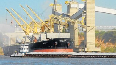 Photo of Nace un gigante: China autorizó la megafusión Bunge-Viterra y revoluciona el comercio de granos