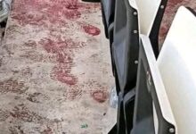 Photo of Tragedia en Argelia: tres muertos y 81 heridos tras colapsar  una tribuna